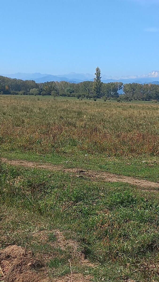 Terreno plano