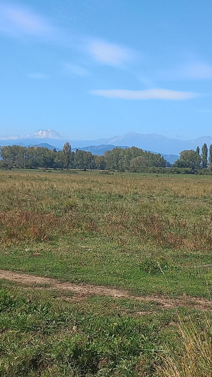 Terreno plano