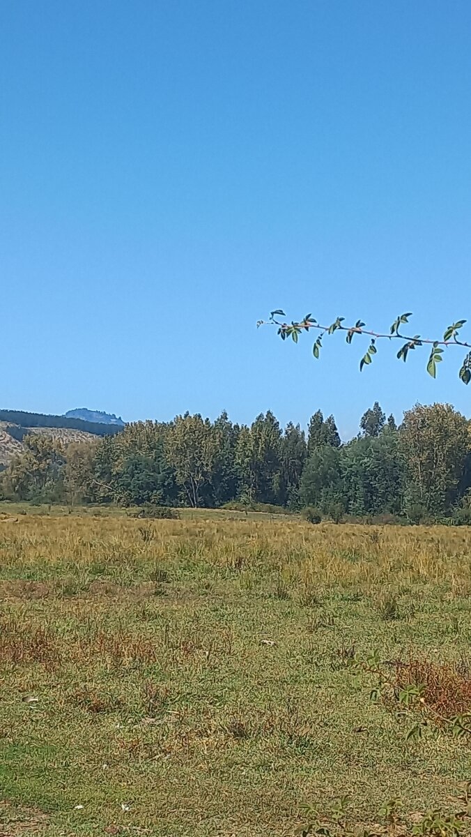 Terreno plano