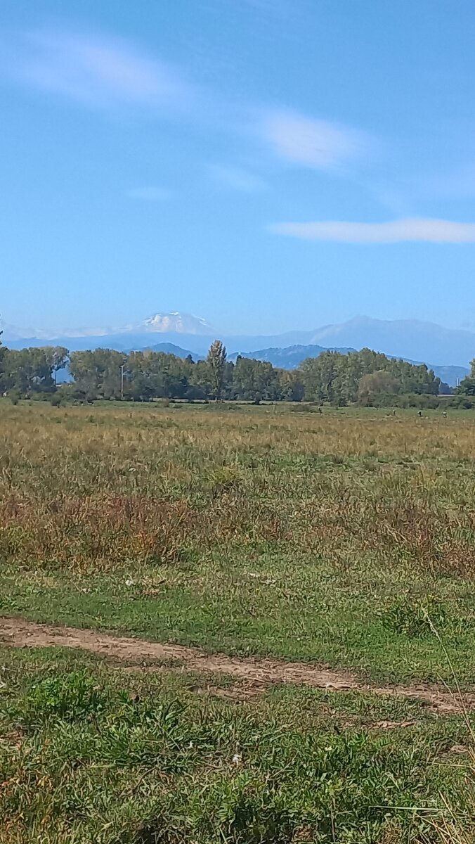 Terreno plano