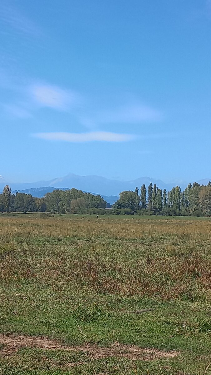 Terreno plano