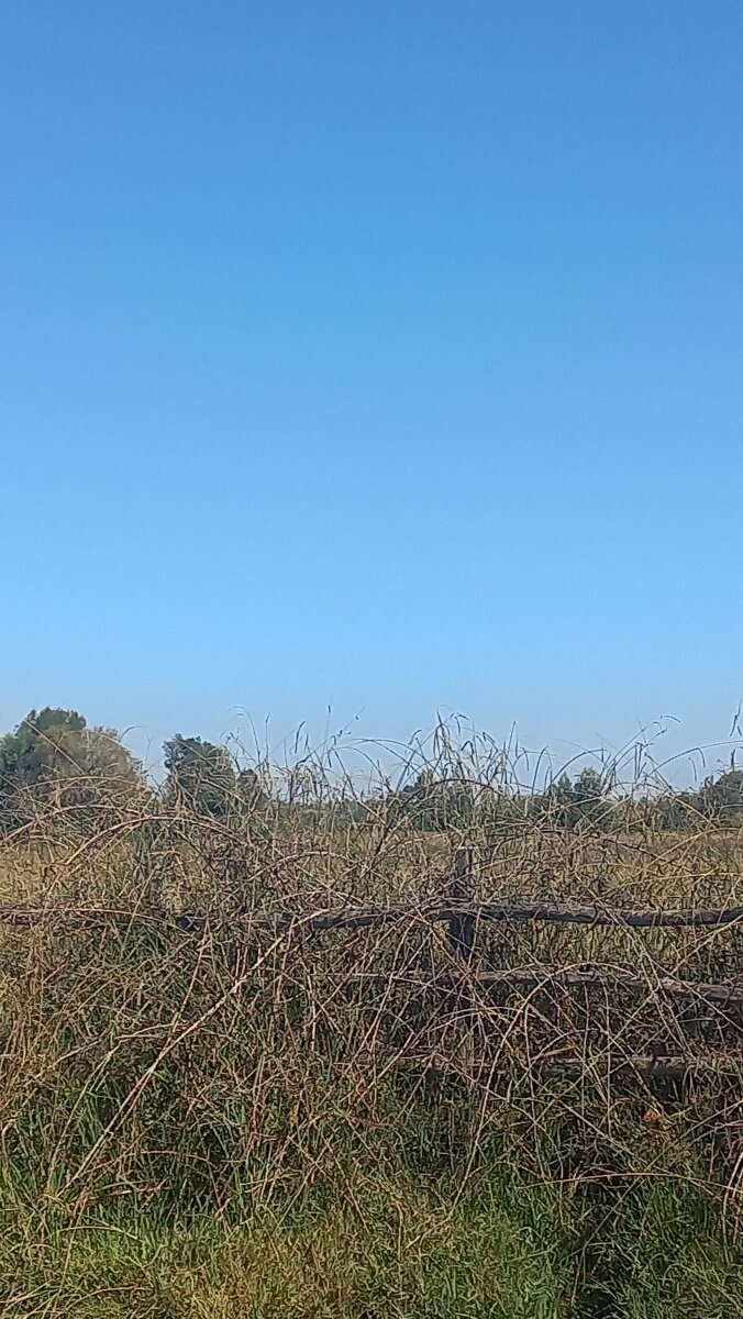 Terreno plano