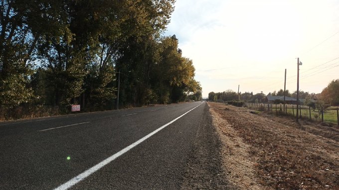 Orilla de camino