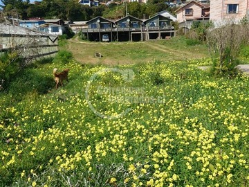 Venta / Parcela / Pelluhue