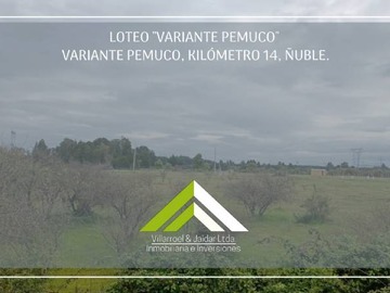 Venta / Parcela / Pemuco