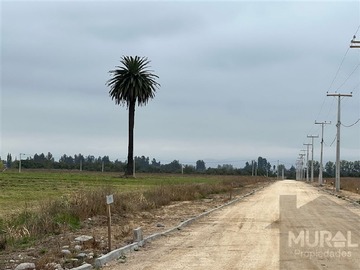 Imagen 8