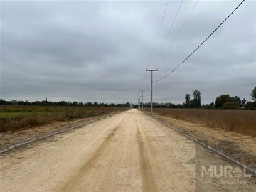 Imagen 12