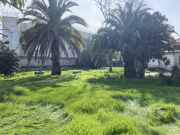 Venta / Parcela / Peñaflor