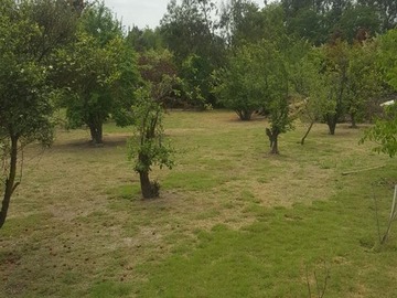 Imagen 22