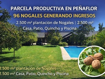 Venta / Parcela / Peñaflor