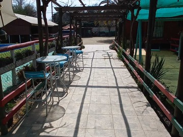 Imagen 5