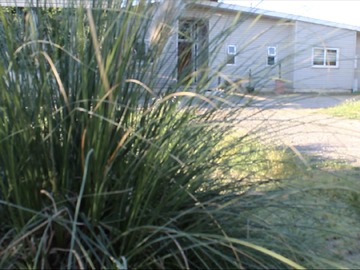 Venta / Parcela / Peñaflor