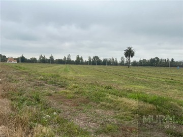 Imagen 6