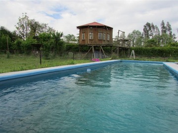 Imagen 5