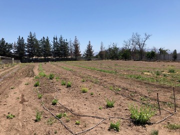 Venta / Parcela / Peñaflor