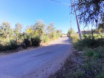 Imagen 11