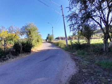 Imagen 16