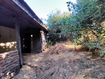 Imagen 7