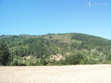 Imagen 8