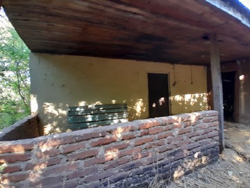 Imagen 13