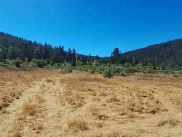 Venta / Parcela / Pencahue
