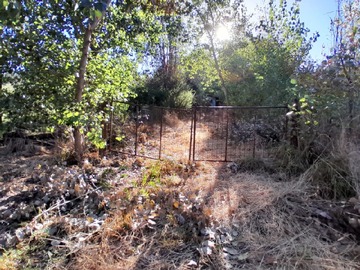Venta / Parcela / Pencahue
