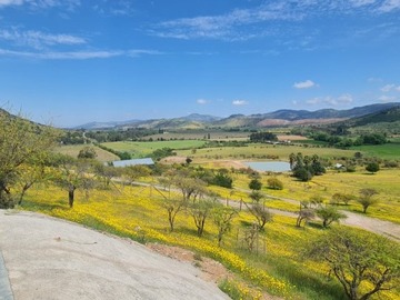 Venta / Parcela / Pencahue