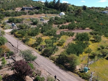 Imagen 10