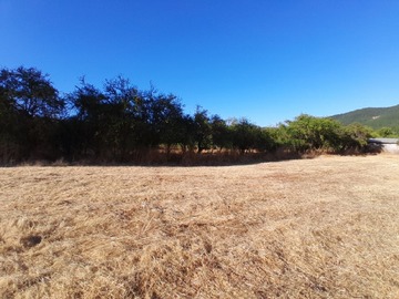 Imagen 9
