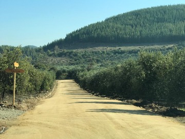 Venta / Parcela / Pencahue
