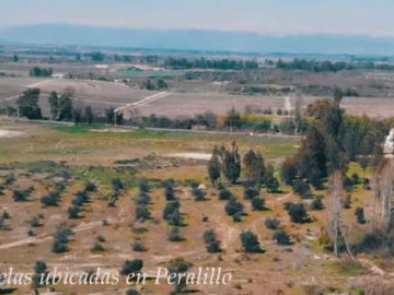 Venta / Parcela / Peralillo
