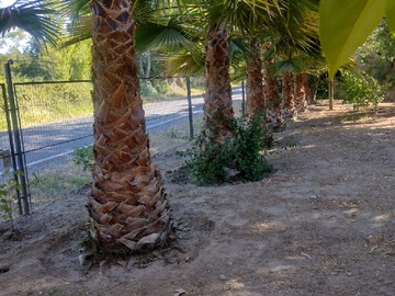 Imagen 15