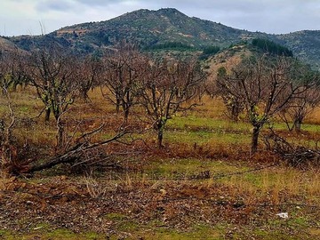 Venta / Parcela / Peralillo