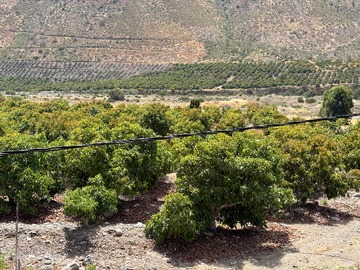 Venta / Parcela / Petorca