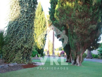 Imagen 15