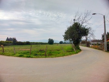 Imagen 11