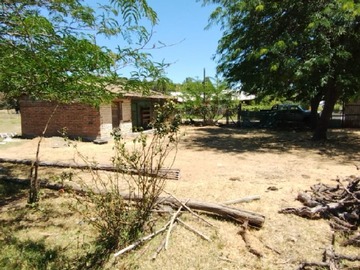 Imagen 5