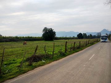 Venta / Parcela / Pichidegua