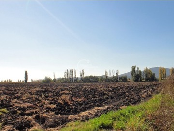 Venta / Parcela / Pichidegua