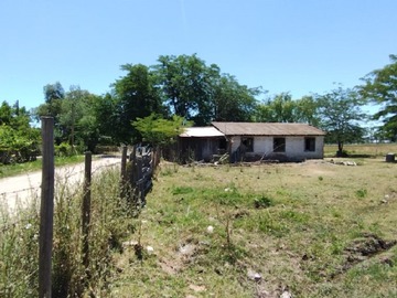 Imagen 11