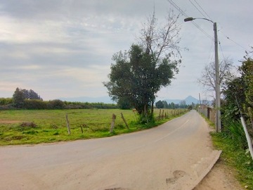 Imagen 13