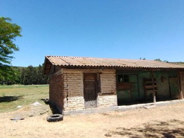 Imagen 6