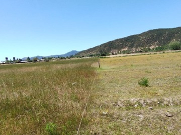 Imagen 8