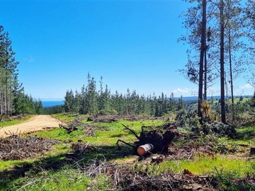Venta / Parcela / Pichilemu