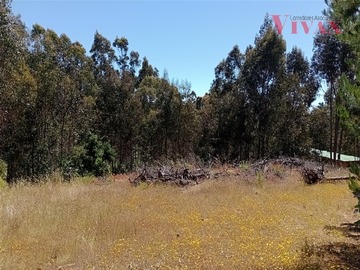 Imagen 7