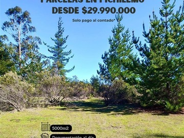 Venta / Parcela / Pichilemu
