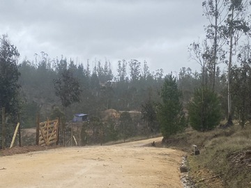 Imagen 12