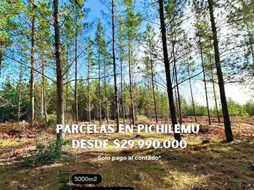 Imagen 3