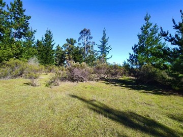 Venta / Parcela / Pichilemu