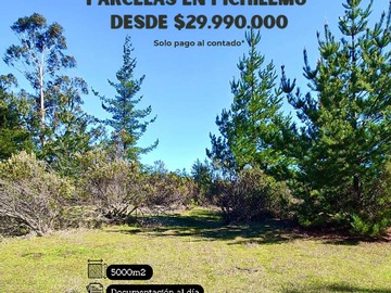 Imagen 4